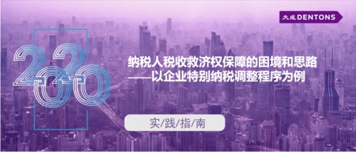 納稅人稅收救濟權保障的困境與思路——以企業(yè)特別納稅調(diào)整程序為例